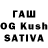 Канабис White Widow Abubakr Siddiqov